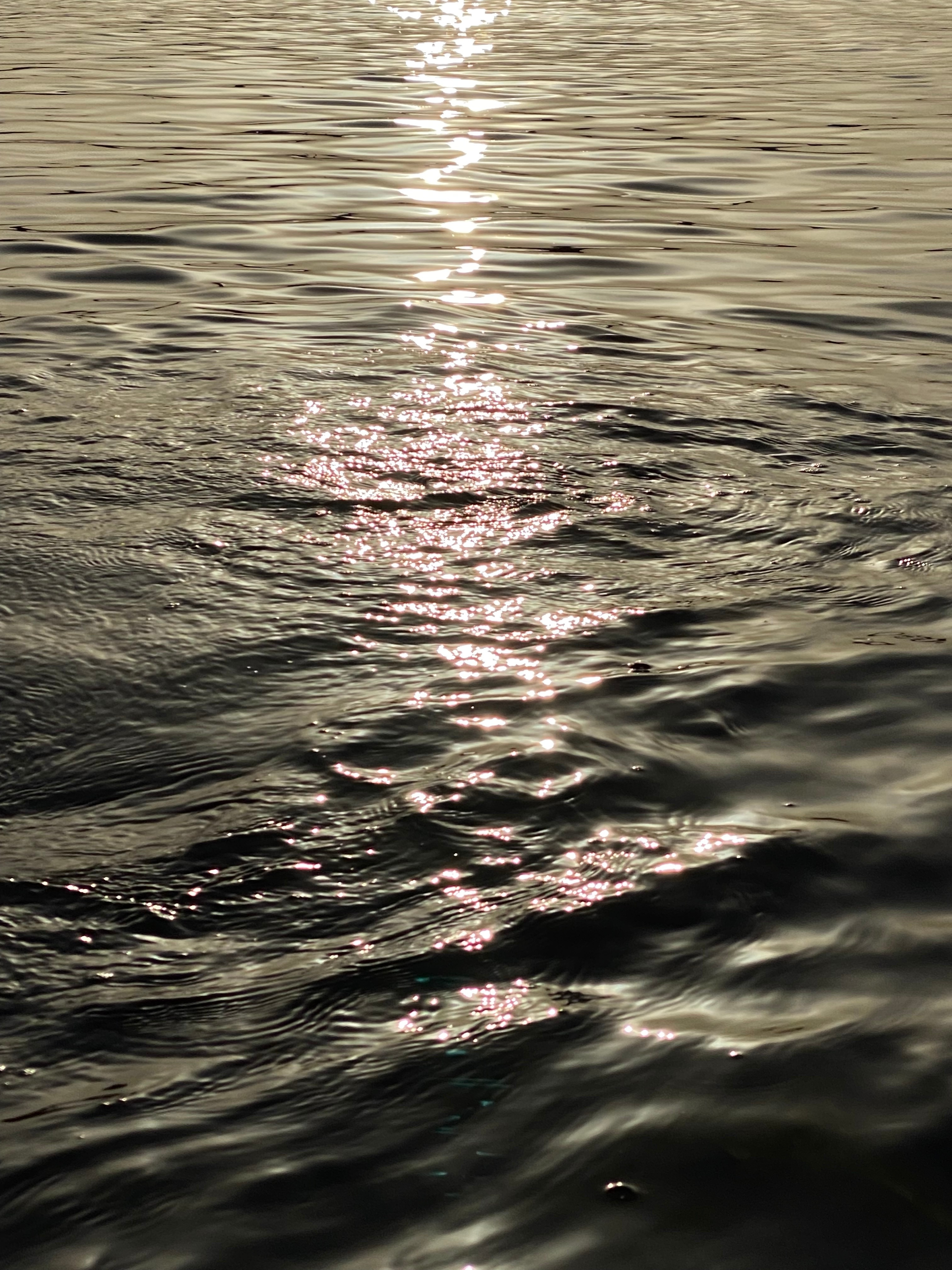 Ocean